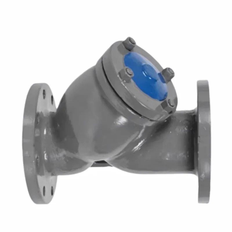 Carbon Steel Flanged Y-ituaiga Filter