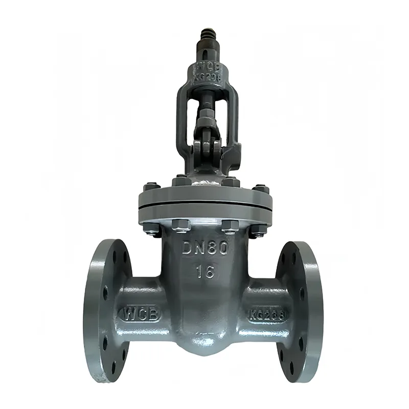 Valve Faitotoa Flange Carbon Steel
