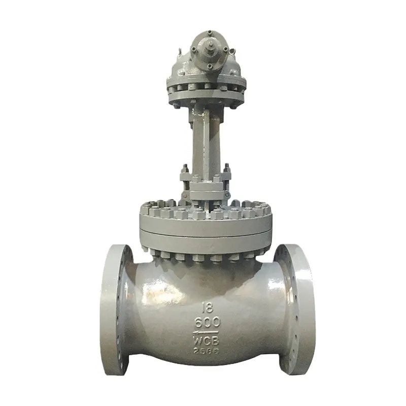Valve Globe Tete'e ile Corrosion
