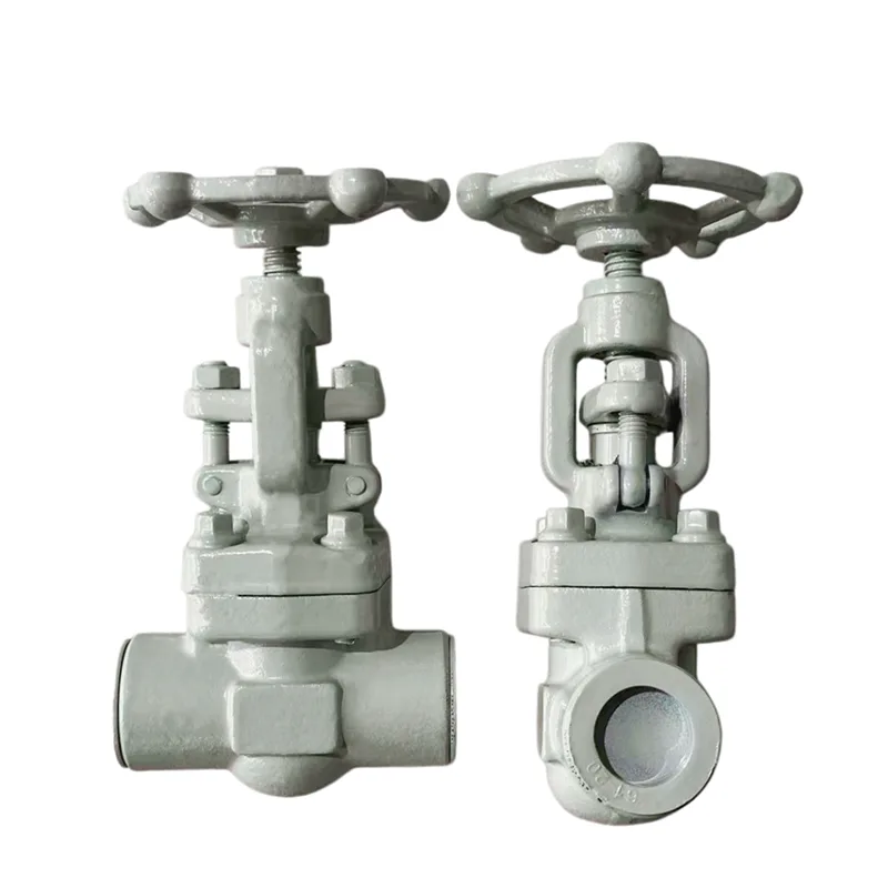 Valve Faitotoa Fa'aigoa Socket